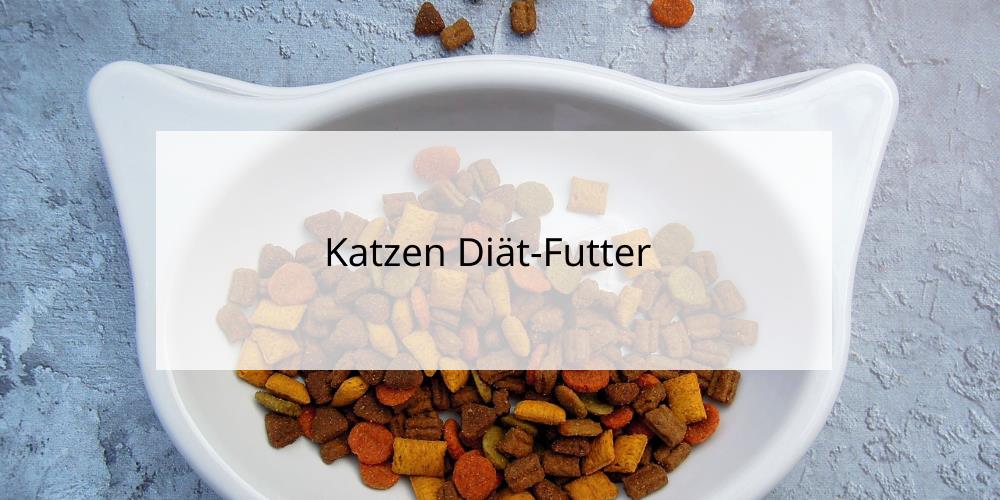 Katzen Diätfutter