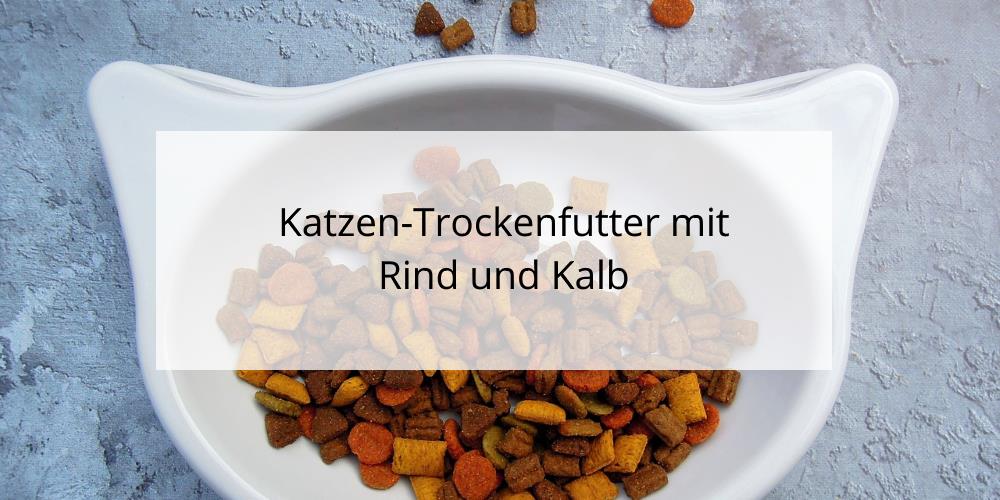 Trockenfutter für Katzen mit Rind- und Kalbsfleisch