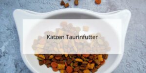 Katzenfutter mit Taurin