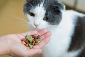Katzenleckerlis